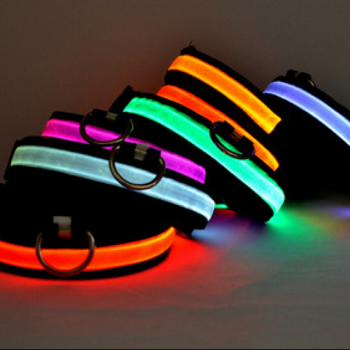 Leads LED Light Pet Mascotas Cachorro Collars