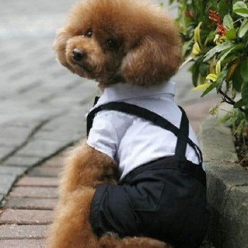 Tuxedo Bow Tie Suit Puppy Costume Jumpsuit