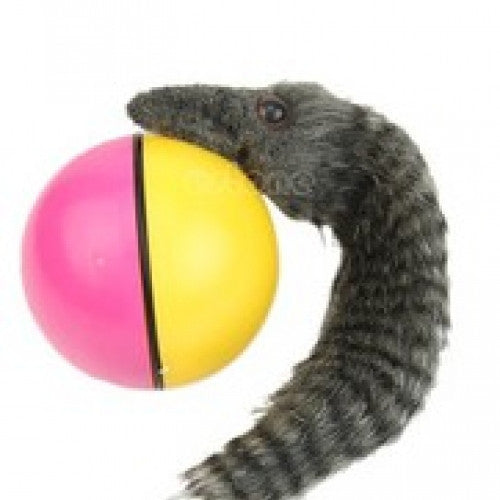 Beaver Weasel Rolling Motor Ball Pet Dog Kids Chaser