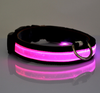 Leads LED Light Pet Mascotas Cachorro Collars