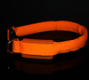 Pet Dog Collar LED Nylon Light-up Flashing Leash