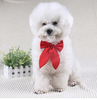 Dog Bow Tie Wedding Accessories Puppy Bowtie