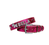 Personalized Dog Collar Customized